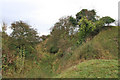 Builth Castle