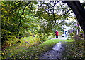 Old station platform at Strathpeffer