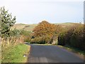 Road to Chesters, Fodderlee