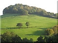 Bearswood Common Summit