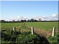 Footpath from Garsons Road over to Tuppeny Lane