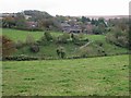 View across the valley to Wepham