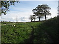 Footpath to Norchard Farm