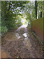 Muddy bridleway, Mitchel Troy