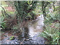 The River Kennall at Tretheague