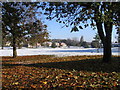 Horse chestnuts and the brookstray