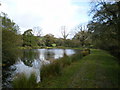 Pool at Pont-y-Gafel farm