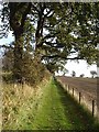 NZ0268 : Hadrian's Wall National Trail near South Clarewood by Oliver Dixon