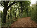 Footpath to Kewstoke