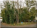 Oval wood, Worlebury Park Road