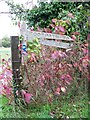 Footpath to Chettle