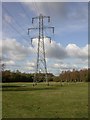 Electricity pylons, Dudmoor