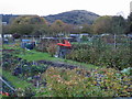 Allotments on Tile Kiln Road