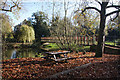 TL8782 : Picnic area by the Little Ouse by Bob Jones