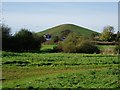 Smiths Farm Meadows & the east most mound at Northala Fields.