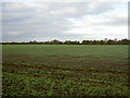 Farmland near Thornton Hough