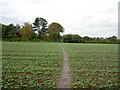 Footpath between Thornton Hough and Clatterbridge