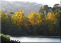NH2738 : Autumn colour at Strathfarrar by sylvia duckworth