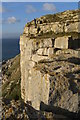 Cliffs above Mutton Cove