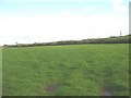 Pasture land north-east of Grugor Bach