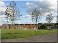 View across new estate in Popley