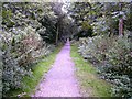 Railway Walk near Stewton Lane