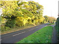 Autumn on Merrow Lane