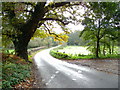 TM2346 : Looking up Hall Road, Kesgrave by Nick Mutton 01329 000000