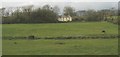 Clynnog Farmhouse, Llangeinwen