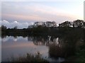 Weston Turville Reservoir - Western end