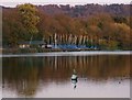 Sailing club & heron, Weston Turville Reservoir