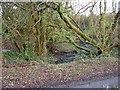 Brook near Cwm-coy, Blaenpennal