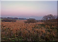 Moorland near the source of the Aeron: Tan-graig, Llanrhystud