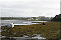 L9582 : Seaweed beds near Killadangan by Bob Shires