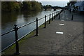 The River Severn at Bewdley