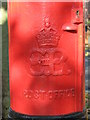 Edward VIII postbox, Woodlands Avenue / Hollies Avenue - royal cipher