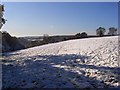 Pasture in snow, Stokenchurch