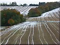 Farmland, Radnage