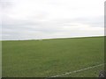 Grazing land at Bodfeirig Farm