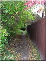 Footpath - Coal Hill Lane