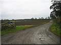 Track leading to East Matfen Farm