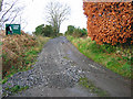 Track to Tillyoch Farm