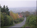 Lane in the autumn mist