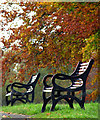 Autumnal benches, Barnetts Demesne