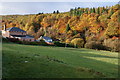 Ruspidge football pitch, Forest of Dean