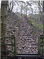 Steps to disused rail Line