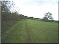 Up the bridleway towards Foel Dyrch