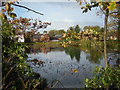 The pond at Hadnall