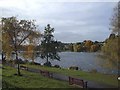 "Seats still available", Roath Park, Cardiff