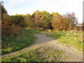 Meden Vale - Elkesley Hill Footpaths